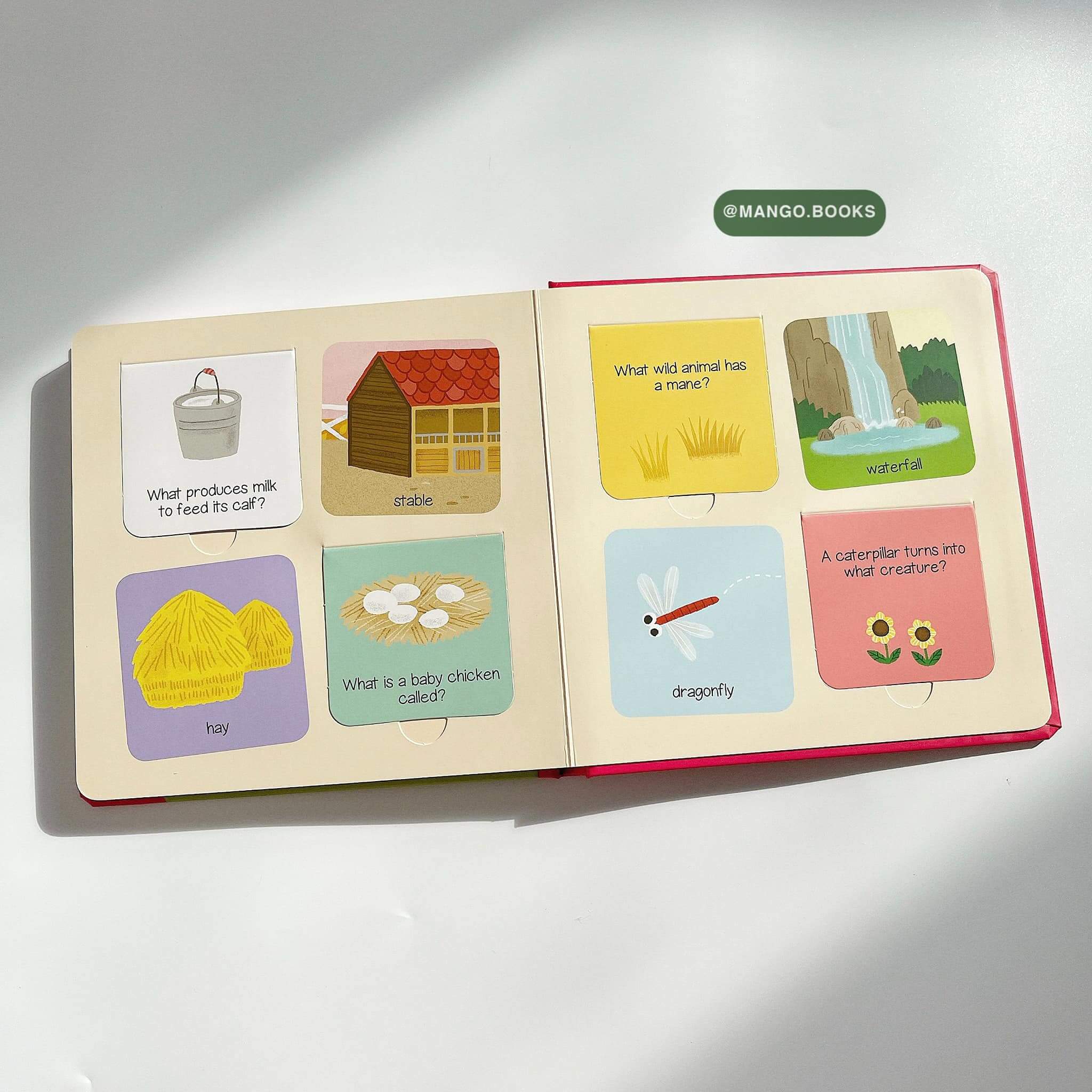 My First Animated Board Book: Baby Animals