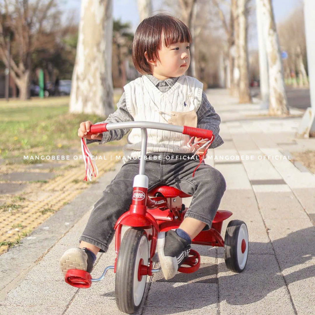 Xe Đạp 3 Bánh Go Trike Radio Flyer